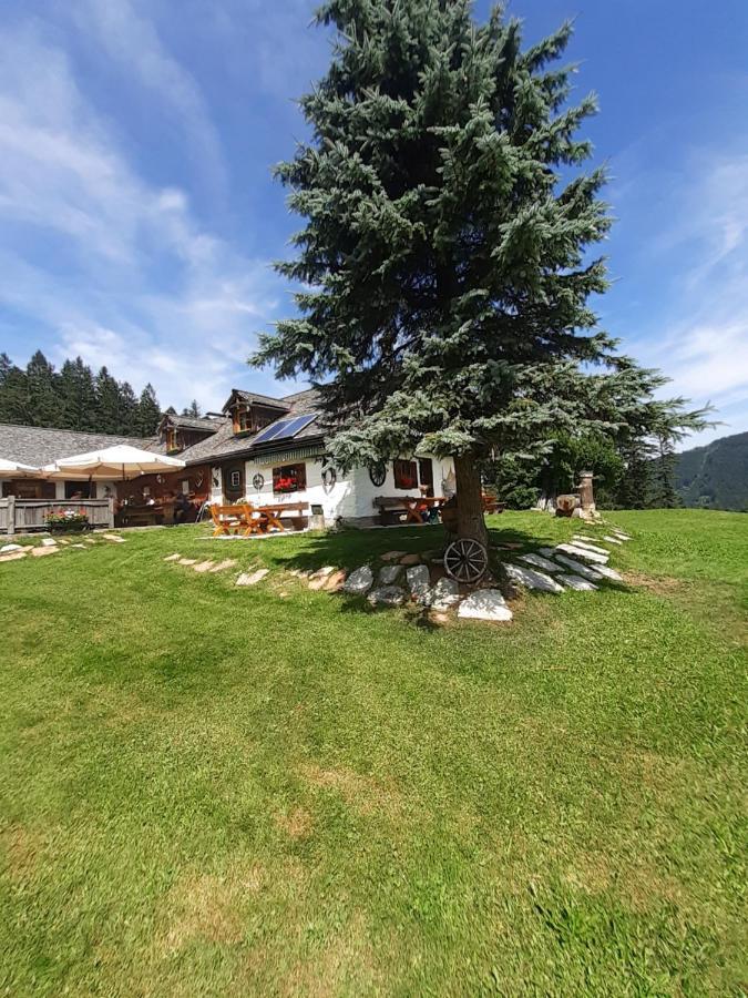 Apartmán Reitbergs Nest Eugendorf Exteriér fotografie