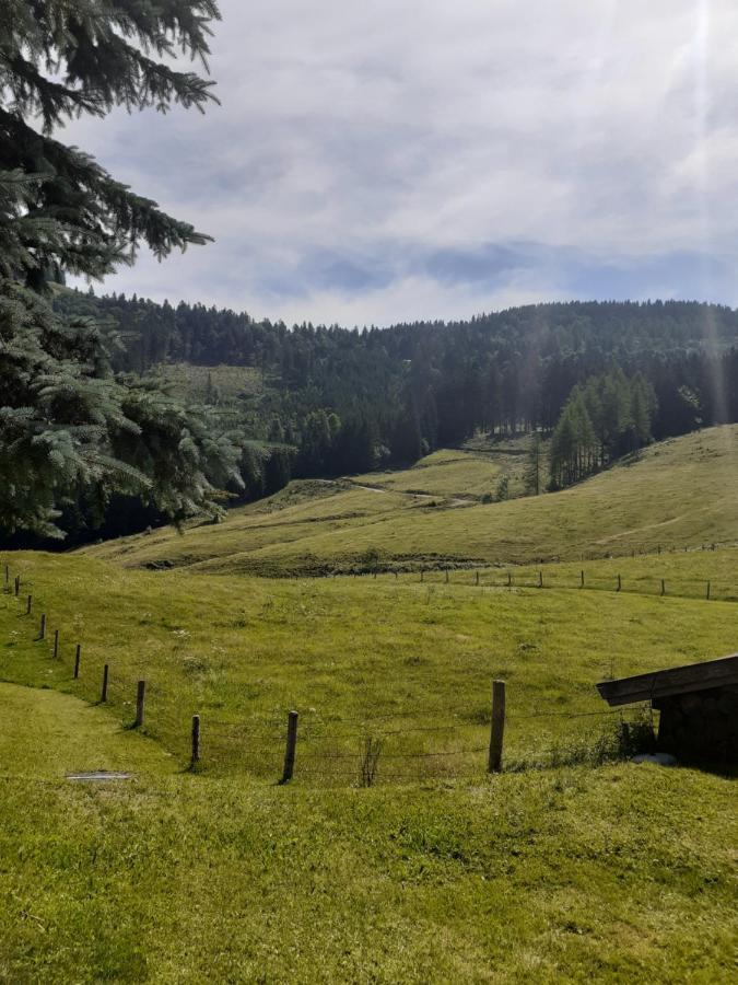 Apartmán Reitbergs Nest Eugendorf Exteriér fotografie